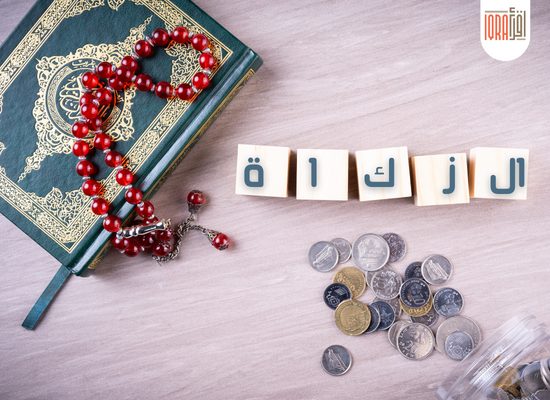 علي من تجب الزكاة