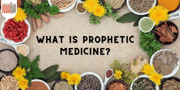 Assortment of dried herbs in bowls on a wooden table